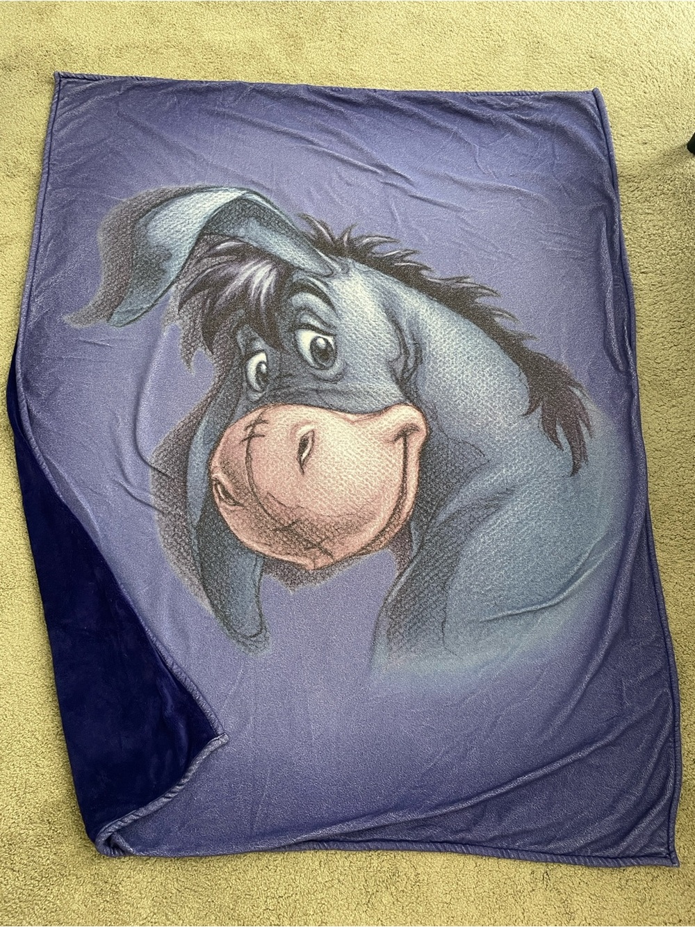 Classic Eeyore Plush Throw Blanket